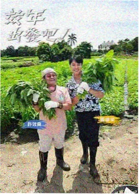 声音的褶皱 星空影院在线观看免费完整版音乐综艺推荐